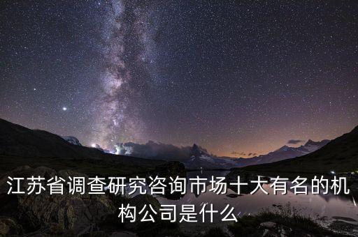 江苏省调查研究咨询市场十大有名的机构公司是什么