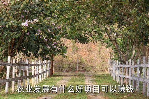  农业发展有什么好项目可以赚钱