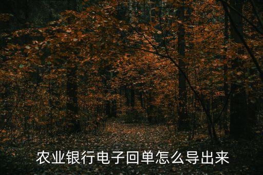 农业银行app怎么倒出流水