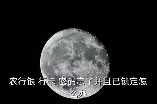 农业行卡密码忘了怎么办,农业支付密码忘了怎么办
