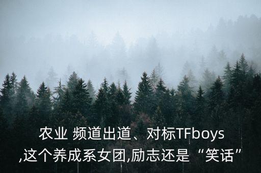 农业频道现在怎么样了,现在发展农业怎么样