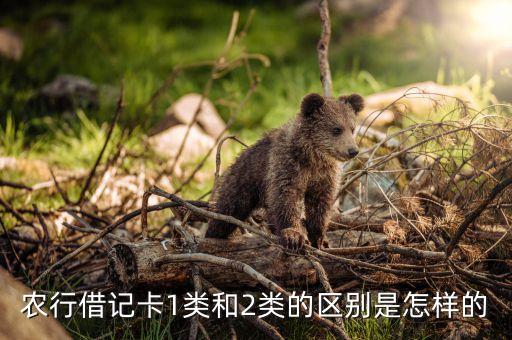 农业银行两个1类卡是什么