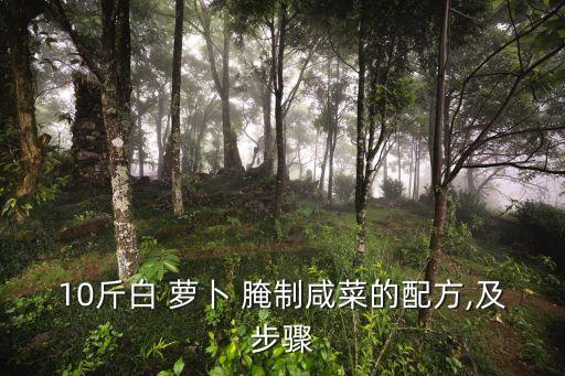农业种植腌萝卜怎么腌制