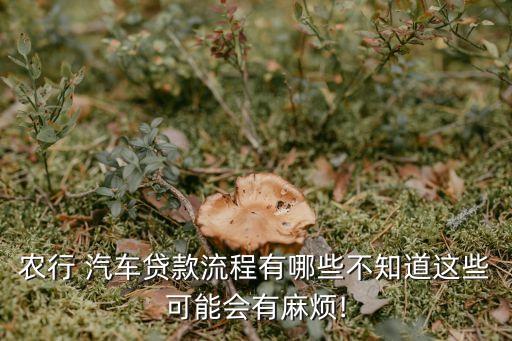 农行 汽车贷款流程有哪些不知道这些可能会有麻烦!