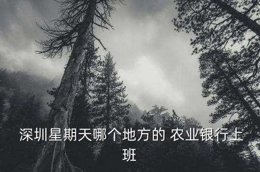深圳龙翔农业银行怎么样,农业银行龙翔支行电话号码