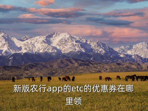 新版农行app的etc的优惠券在哪里领