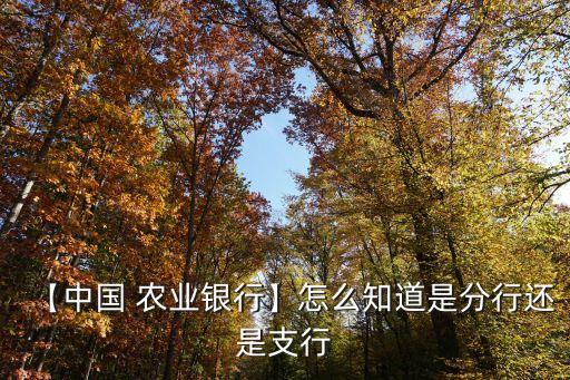 【中国 农业银行】怎么知道是分行还是支行
