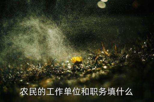 农业农民工工作要求怎么写