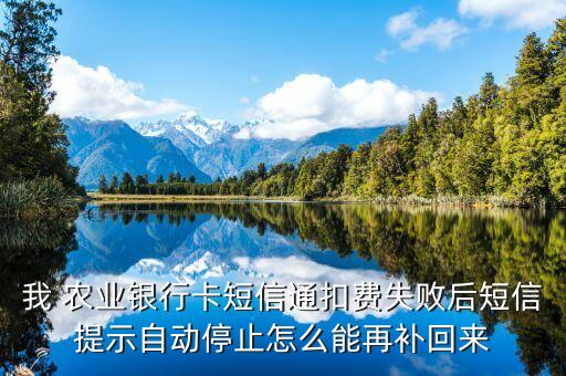 农业银行怎么补交欠费金额