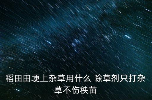 农业除草用什么最好呢,什么季节除草最好