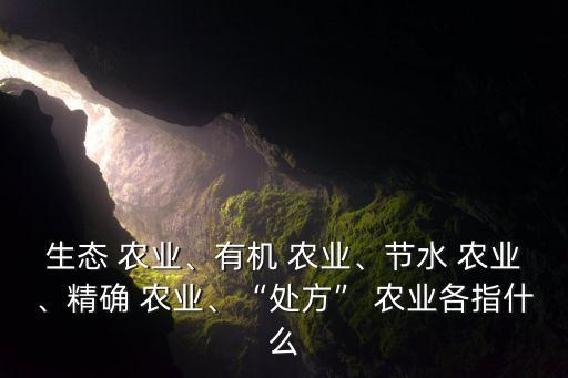 生态 农业、有机 农业、节水 农业、精确 农业、“处方” 农业各指什么