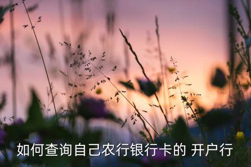 农业怎么查开户时间,如何查农业银行卡开户人姓名