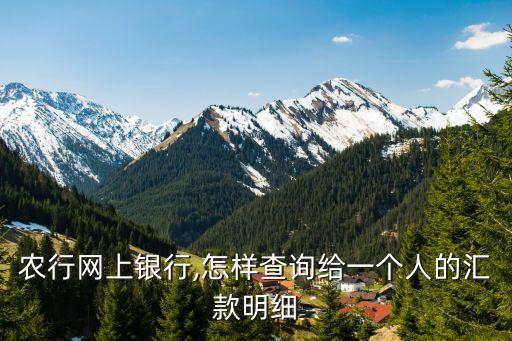 农业银行怎么查转账来源