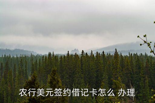 农业银行emv怎么办理