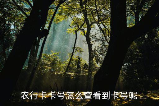 农业银行卡账号怎么查出来,只有一张农业银行卡为什么出现两个账号