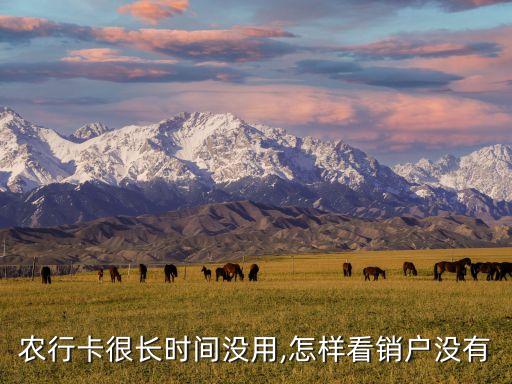 农行卡很长时间没用,怎样看销户没有