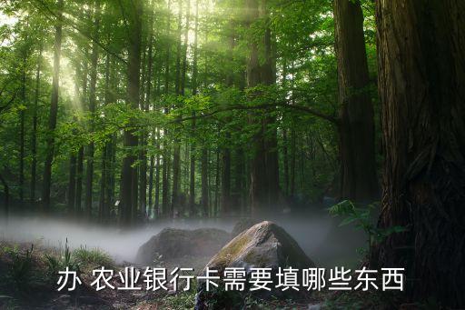 办 农业银行卡需要填哪些东西