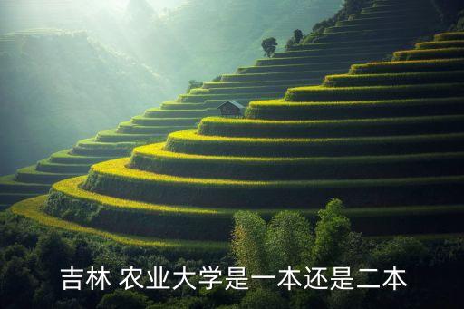吉林农业怎么样