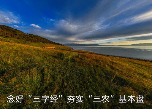 念好“三字经”夯实“三农”基本盘