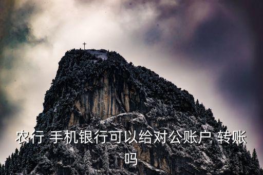 手机农业企业网银怎么转账,企业网银手机上怎么登录