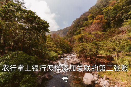 农行掌上银行怎样添加关联的第二张账号