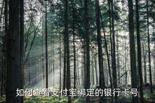 农业银行新益宝怎么查