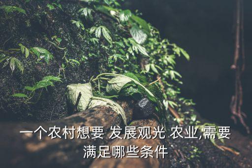 怎么发展农业生态旅游,农业生态旅游前景与意义