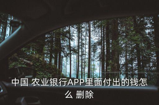 怎么删除农业银行明细,农业银行app怎么删除明细记录