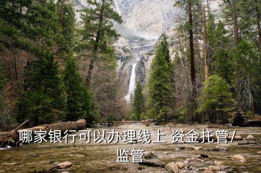 农业银行资金监管怎么查