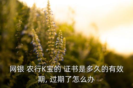网银 农行K宝的 证书是多久的有效期, 过期了怎么办
