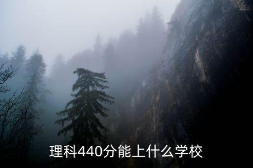 理科440分能上什么学校