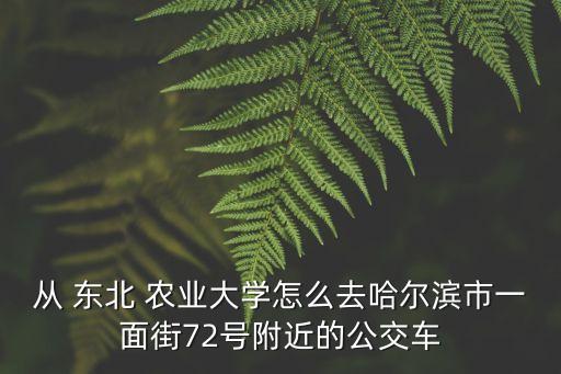 东北农业大学怎么去,为了211去东北农业大学