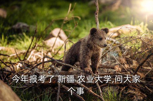 新疆农业大学怎么报到学生