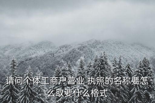 请问个体工商户营业 执照的名称要怎么取要什么格式