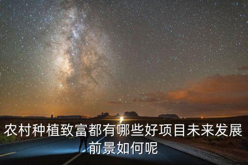 农业地里种什么最好,今年农业种什么赚钱