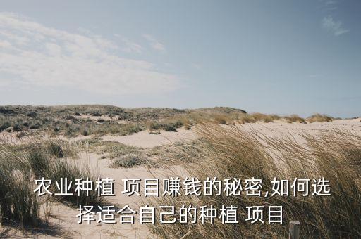 200米适合什么农业项目,山地适合发展什么农业