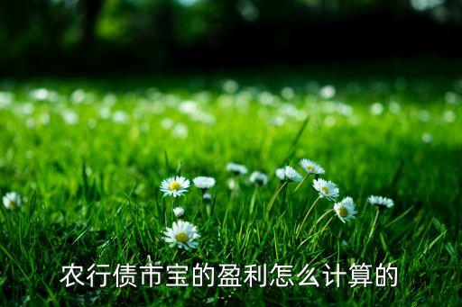 从农业银行上怎么赚钱,农业银行的存金通赚钱吗
