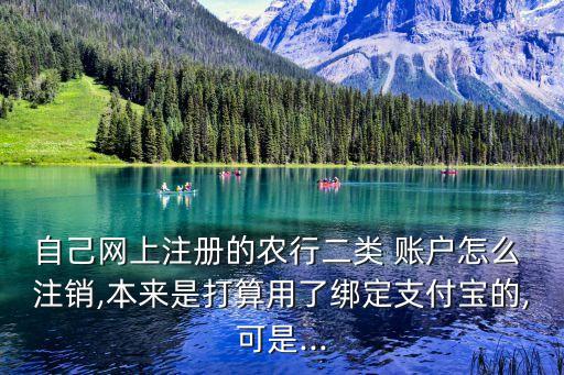 自己网上注册的农行二类 账户怎么 注销,本来是打算用了绑定支付宝的,可是...