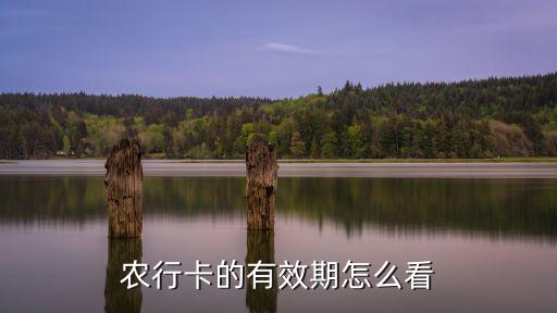 农业银行过期码怎么看