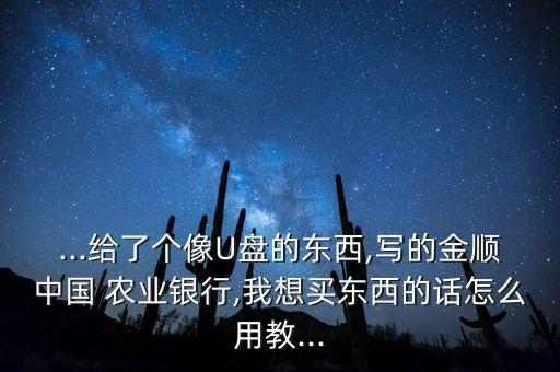 农业银行的u盘怎么用