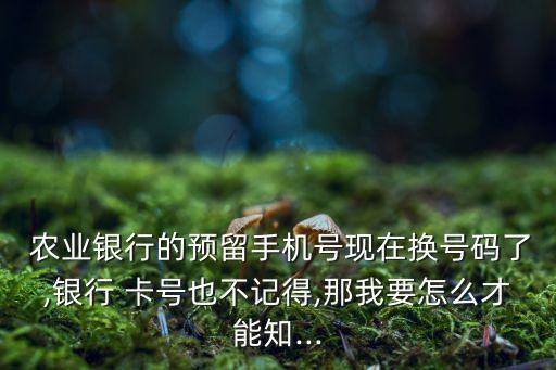  农业银行的预留手机号现在换号码了,银行 卡号也不记得,那我要怎么才能知...