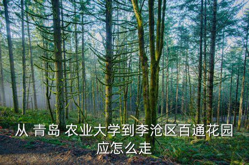 青岛农业大学怎么出去,去青岛农业大学怎么走