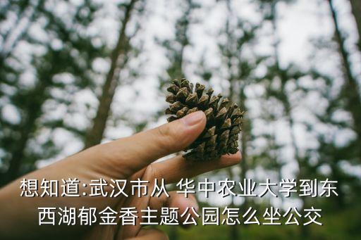华中农业大学怎么去街道,洪山区华中农业大学属于哪个街道