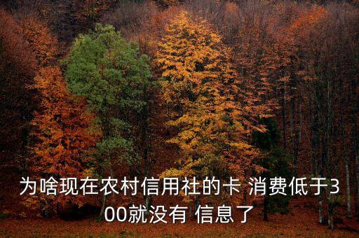 农业银行消费信息怎么没了