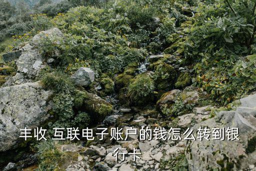  丰收 互联电子账户的钱怎么转到银行卡