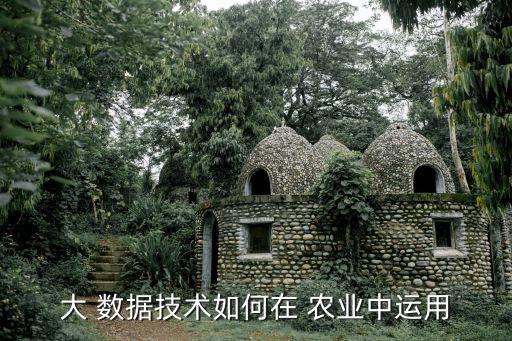 农业大数据怎么学,农业知识综合一怎么学