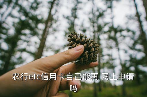 网上怎么办理农业银行etc