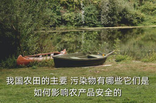 我国农田的主要 污染物有哪些它们是如何影响农产品安全的