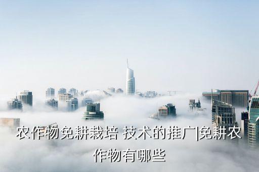 农作物免耕栽培 技术的推广|免耕农作物有哪些