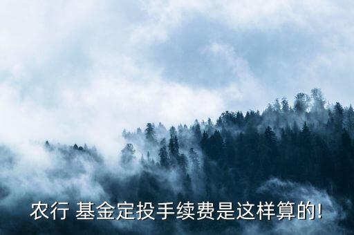 农业银行基金怎么交钱